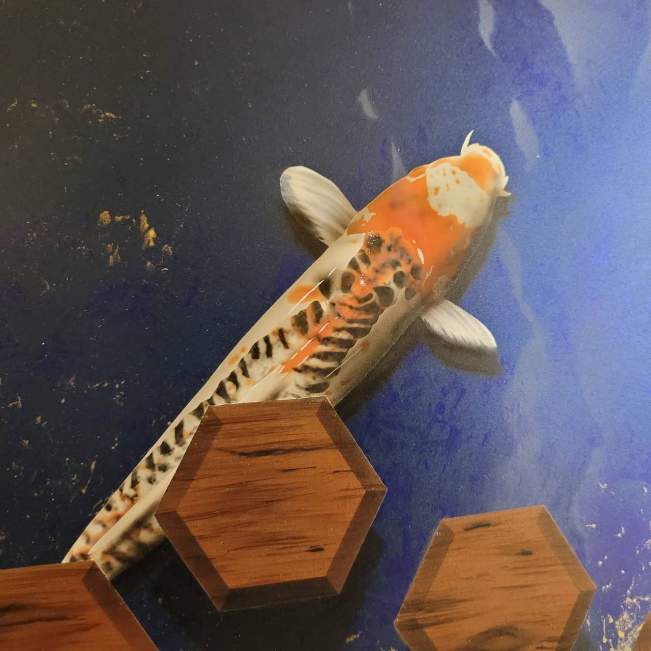 Airbrushed Painting of Koi Fish on Blue Backgroundwith orange and white scales